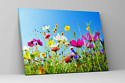 Obraz Voňavá lúka v lete 1478